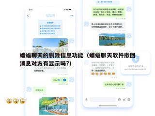 蝙蝠聊天的删除信息功能（蝙蝠聊天软件撤回消息对方有显示吗?）