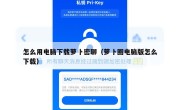 怎么用电脑下载萝卜密聊（萝卜圈电脑版怎么下载）
