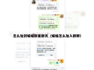 怎么加到蝙蝠群里聊天（蝙蝠怎么加入群聊）