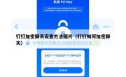 钉钉加密聊天设置方法图片（钉钉如何加密聊天）