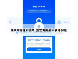 搜索蝙蝠聊天软件（官方蝙蝠聊天软件下载）