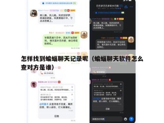 怎样找到蝙蝠聊天记录呢（蝙蝠聊天软件怎么查对方是谁）