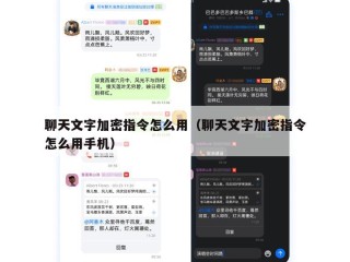 聊天文字加密指令怎么用（聊天文字加密指令怎么用手机）