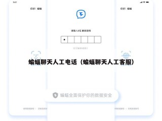 蝙蝠聊天人工电话（蝙蝠聊天人工客服）