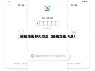 蝙蝠加密聊天吃瓜（蝙蝠加密消息）