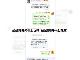 蝙蝠聊天问你上口吗（蝙蝠聊天什么意思）