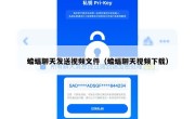 蝙蝠聊天发送视频文件（蝙蝠聊天视频下载）