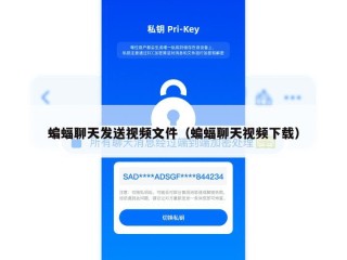 蝙蝠聊天发送视频文件（蝙蝠聊天视频下载）