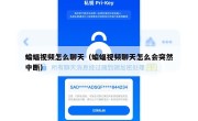 蝙蝠视频怎么聊天（蝙蝠视频聊天怎么会突然中断）