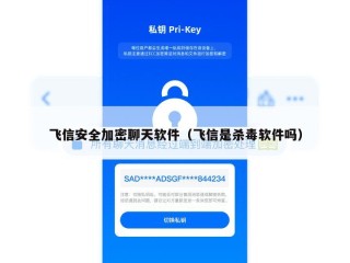 飞信安全加密聊天软件（飞信是杀毒软件吗）