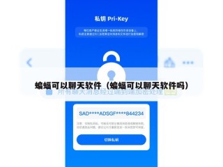 蝙蝠可以聊天软件（蝙蝠可以聊天软件吗）