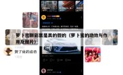 萝卜密聊彩票是真的假的（萝卜蜜的功效与作用及图片）