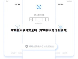 掌嗨聊天软件安全吗（掌嗨聊天是什么软件）