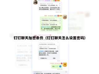 钉钉聊天加密条件（钉钉聊天怎么设置密码）