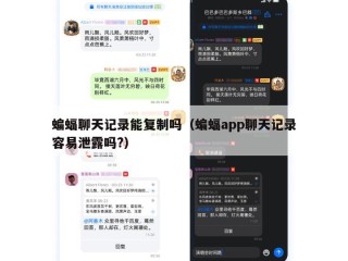 蝙蝠聊天记录能复制吗（蝙蝠app聊天记录容易泄露吗?）