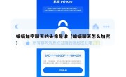 蝙蝠加密聊天的头像是谁（蝙蝠聊天怎么加密）