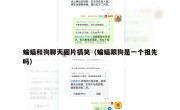 蝙蝠和狗聊天图片搞笑（蝙蝠跟狗是一个祖先吗）