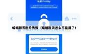 蝙蝠聊天图片失败（蝙蝠聊天怎么不能用了）