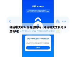 蝙蝠聊天可以屏幕录制吗（蝙蝠聊天工具可以监听吗）