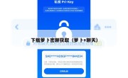 下载萝卜密聊获取（萝卜+聊天）