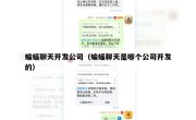 蝙蝠聊天开发公司（蝙蝠聊天是哪个公司开发的）