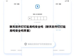 聊天软件钉钉能用吗安全吗（聊天软件钉钉能用吗安全吗苹果）