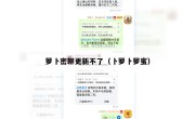 萝卜密聊更新不了（卜萝卜萝蜜）