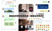 蝙蝠加密聊天百度网盘（蝙蝠加密方式）