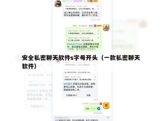 安全私密聊天软件s字母开头（一款私密聊天软件）