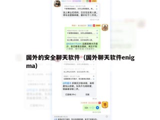 国外的安全聊天软件（国外聊天软件enigma）