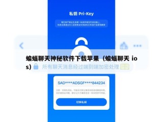 蝙蝠聊天神秘软件下载苹果（蝙蝠聊天 ios）