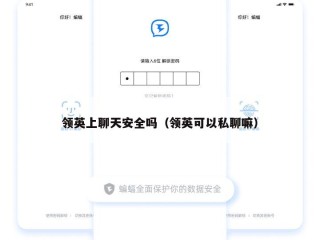 领英上聊天安全吗（领英可以私聊嘛）