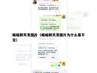 蝙蝠聊天发图片（蝙蝠聊天发图片为什么看不见）