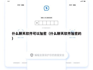 什么聊天软件可以加密（什么聊天软件加密的）
