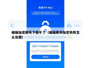 蝙蝠加密聊天下载不了（蝙蝠聊天加密失败怎么处理）