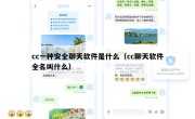 cc一种安全聊天软件是什么（cc聊天软件全名叫什么）