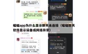 蝙蝠app为什么显示聊天未连接（蝙蝠聊天软件显示设备或网络异常）