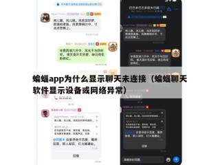 蝙蝠app为什么显示聊天未连接（蝙蝠聊天软件显示设备或网络异常）