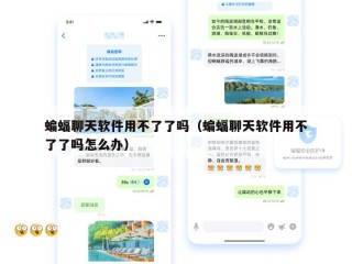 蝙蝠聊天软件用不了了吗（蝙蝠聊天软件用不了了吗怎么办）