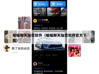蝙蝠聊天加密软件（蝙蝠聊天加密软件官方下载）