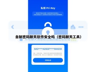 自制密码聊天软件安全吗（密码聊天工具）