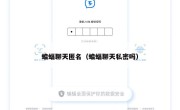 蝙蝠聊天匿名（蝙蝠聊天私密吗）