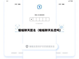 蝙蝠聊天匿名（蝙蝠聊天私密吗）