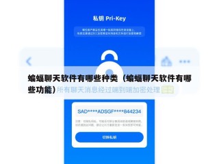 蝙蝠聊天软件有哪些种类（蝙蝠聊天软件有哪些功能）