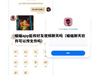 蝙蝠app能和好友视频聊天吗（蝙蝠聊天软件可以传文件吗）