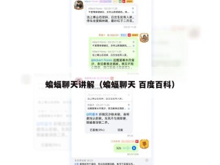 蝙蝠聊天讲解（蝙蝠聊天 百度百科）