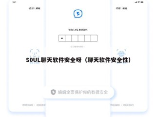S0UL聊天软件安全呀（聊天软件安全性）