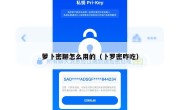 萝卜密聊怎么用的（卜罗密咋吃）