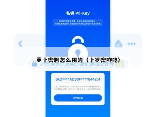 萝卜密聊怎么用的（卜罗密咋吃）