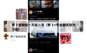 萝卜密聊投一万反二百（萝卜+专业聊天软件下载）